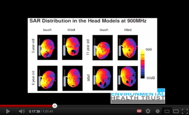 900 MHz: Ein
              Handy verstrahlt den Kopf eines Kindes mehr als beim
              Erwachsenen