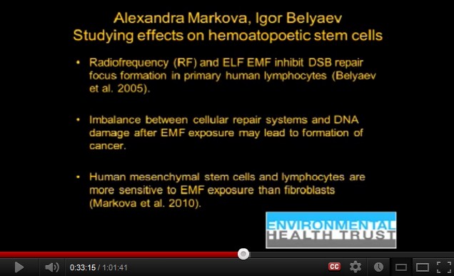 Kurzwellenfrequenzstrahlung zerst�rt den
              Reparationsmechanismus der Zellen