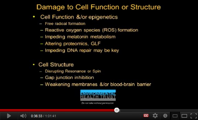 Die
              Schadenliste durch Kurzwellenstrahlung