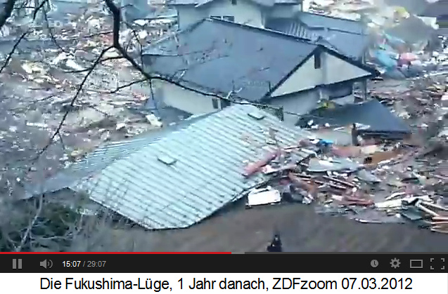 Tsunami in Japan 2011 (03)