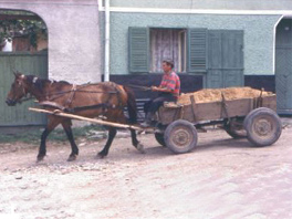 ... fue vendido y pues
                      ten�a que trabajar mucho y mucho y mucho ...