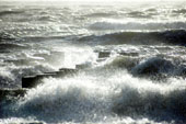 Fueron navegando en el
                      mar y una tormenta provoco altas olas...