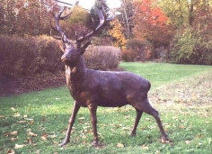 ... pero pues
                      persigui� un ciervo, y al fin no ten�a ninguna
                      presa...