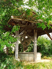 ... a la orilla de un
                      pozo ...