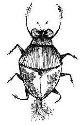 Pippi findet einen gr�n-gl�nzenden K�fer und
                      nennt ihn "Spunk"