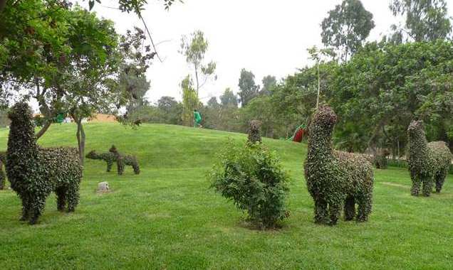 Animal
                            sculpture of hedges, Sinchi Roca Park
                            (parque Sinchi Roca) 05, Lamas, Lima, Peru