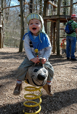 Nice spring rider 02
                              showing a mouse in animal park
                              "Daelhoelzli" in Berne,
                              Switzerland