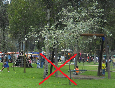 Bird's nest swing 05 negative in the water in
                      Ejido Park in Quito, Ecuador