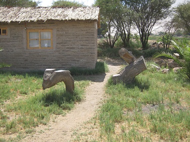 Bollard jumping 03 on Hari Krishna
                              farm "Eco Truly" in Lluta Valley
                              near Arica in Chile