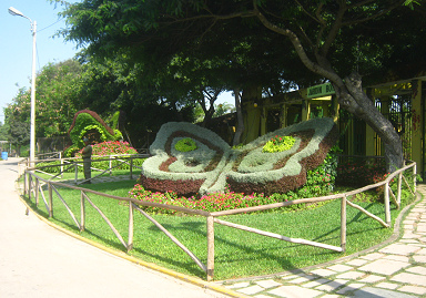 Escultura de animal de seto, una
                              mariposa 01 en el parque de las Leyendas
                              en Lima, Per