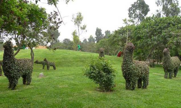 Escultura
                            de animal de seto en el parque Sinchi Roca
                            05, llamas, Lima, Per