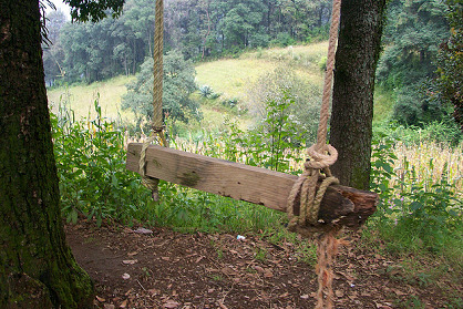 Columpio
                              de palo 01 en Totolap�n, M�xico