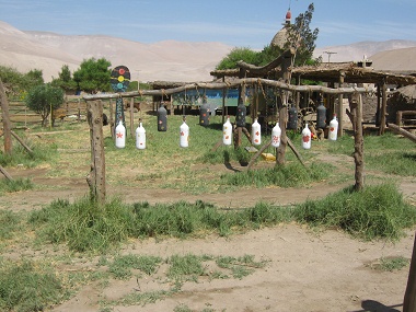 Xil�fono de botellas 02 en la
                                    granja de Hari Krishna "Eco
                                    Truly" en el valle Lluta cerca
                                    de Arica en Chile