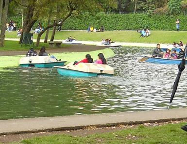 Aguas 02: circuito de agua con barcos
                              pedalos (velomares) y un bote der remos en
                              el parque Carolina en Quito, Ecuador
