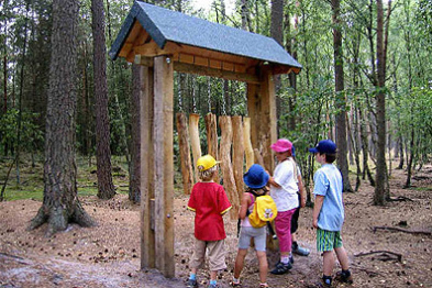 Dendrophon 02,
                            Neuenkirchen in der L�neburger Heide,
                            Deutschland