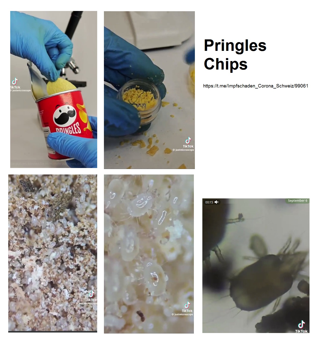 Inhaltsstoffe in geimpften Chips am
6.9.2024: Parasiten in den Chips von
"Pringles": Sobald Sie platzen, können
Sie nicht mehr aufhören, diese Käfer zu essen. Inhaltsstoffe in geimpften Chips am
6.9.2024: Parasiten in den Chips von
"Pringles": Sobald Sie platzen, können
Sie nicht mehr aufhören, diese Käfer zu essen.