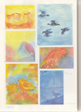 Tafel 39: Tierkunde 05 (5.,
6. Schuljahr) Tafel 39: Tierkunde 05 (5., 6.
Schuljahr)