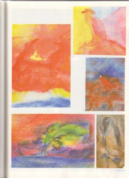 Tafel 40: Tierkunde 06 (5.,
6. Schuljahr) Tafel 40: Tierkunde 06 (5., 6.
Schuljahr)