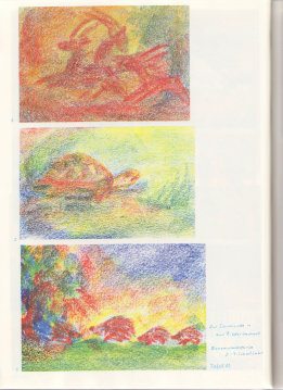 Tafel 45: Tierkunde 11 mit
                          Bilderbucharbeit in Bienenwachsfarben (5.-7.
                          Schuljahr)