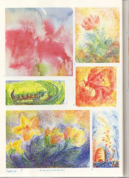 Tafel 53:
Pflanzenkunde 01 in Bienenwachsfarben Tafel 53: Pflanzenkunde 01 in
Bienenwachsfarben