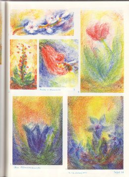 Tafel 54: Pflanzenkunde 02 in
Bienenwachsfarben (4.-6. Schuljahr) Tafel 54: Pflanzenkunde 02 in
Bienenwachsfarben (4.-6. Schuljahr)