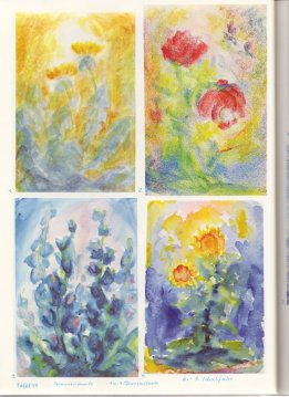 Tafel
55: Pflanzenkunde 03 in Pflanzenfarben (6.-9.
Schuljahr) Tafel 55: Pflanzenkunde 03 in
Pflanzenfarben (6.-9. Schuljahr)