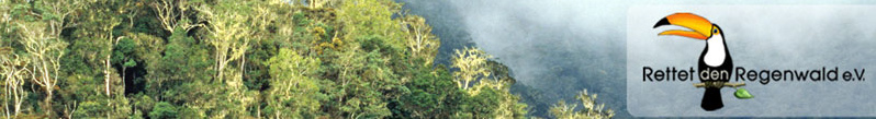 Rettet den
                                                  Regenwald e.V., Logo