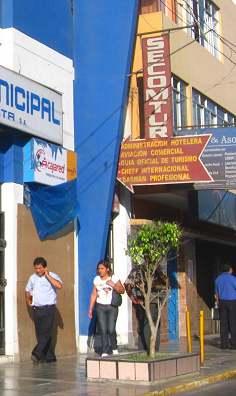 Rundbankhnliche Baumeinfassung als
                        Sitzgelegenheit in Chimbote (Peru) beim
                        Reisebro Secomtur (2011)