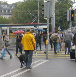 Leitlinien in Zrich
                        vor dem Hauptbahnhof