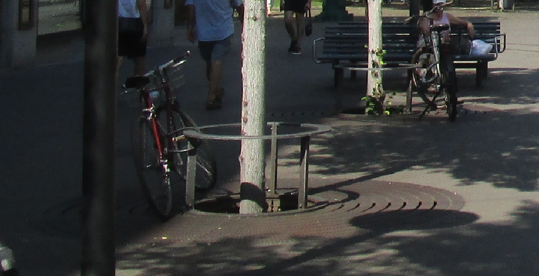 Zürich Bahnhofstrasse, Baumschutz ist
Sitzgelegenheit oder auch Velobügel 2024 Zürich
Bahnhofstrasse, Baumschutz ist Sitzgelegenheit oder auch
Velobügel 2024