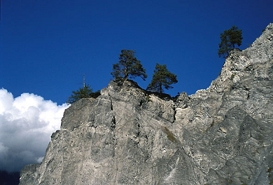 Felskuppe �ber
              der Rheinschlucht in Graub�nden
