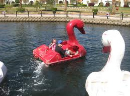 Water plays 05,
                              pedalo ships in form of swans in Hurgada
                              at the Red Sea in Egypt