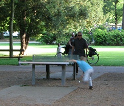 Un parque infantil con �rboles
                              grandes en la sombra, Sch�tzenmattpark
                              ("parque del prado del
                              tirador"), Basilea