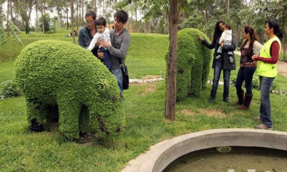 Escultura de seto de animal en el
                            parque Sinchi Roca 03, hipop�tamos (hipos),
                            Lima, Per�