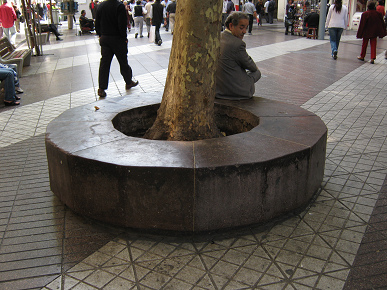 Protecci�n de �rboles 01: banco
                            alrededor de un �rbol en en centro de
                            Santiago de Chile
