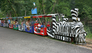 Tren en un
parque 01 en el parque de atracciones
"Seeteufel" ("Diablo del
Lago") en Studen cerca de Bienne,
Suiza Tren en un parque 01 en el parque de
atracciones "Seeteufel"
("Diablo del Lago") en Studen
cerca de Bienne, Suiza