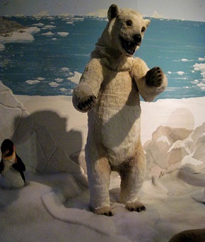Tren de
temas en Ibbenbueren 06, escena en el hielo
con un oso polar (Ártico) y con un pingüino
(Antártico) Tren de temas en Ibbenbueren 06, escena
en el hielo con un oso polar (Ártico) y con
un pingüino (Antártico)