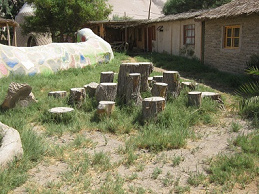 Bolardos
                                          para saltar 01 en la granja de
                                          Hari Krishna "Eco
                                          Truly" en el valle Lluta
                                          cerca de Arica en Chile