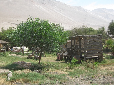Auto en madera 02 con la vista de
                              atr�s en la granja de Hari Krishna
                              "Eco Truly" en el valle Lluta
                              cerca de Arica en Chile