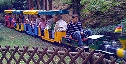 Tren en un parque 09 en
                            Ibbenbueren 02 pasando