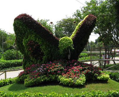 Tierplastiken aus Hecken,
                                  Schmetterling 03 mit R�ssel ,
                                  Legendenpark (parque de las Leyendas),
                                  Lima, Peru